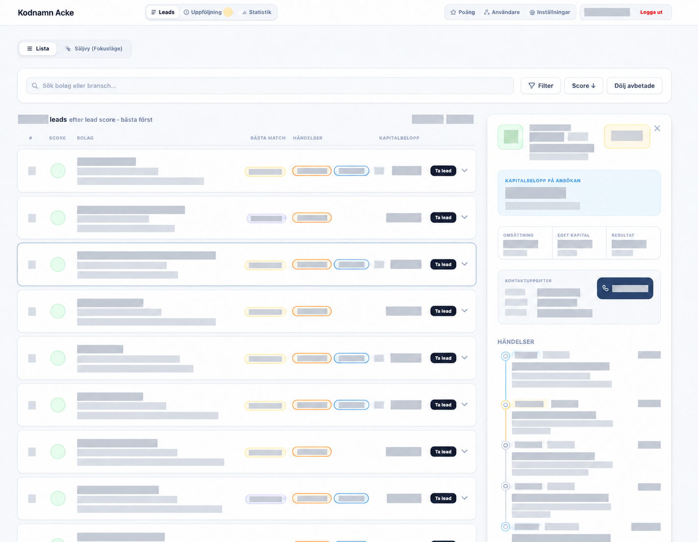 Anonymized screenshot of the lead portal — identifying information and business data concealed