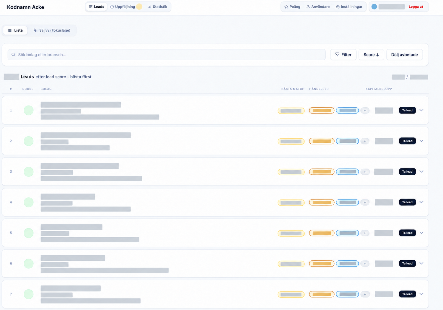 Anonymized screenshot of the lead portal — identifying information and business data concealed